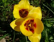 DSCI0862.webp