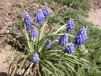 18.4.2010 001.webp