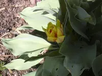 18.4.2010 009.webp