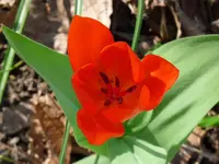 P1010554.webp