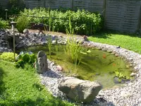 Teich im Sommer 1.webp