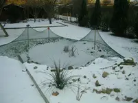 Teich im Winter 1.webp