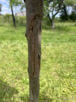 IMG_0680.jpeg