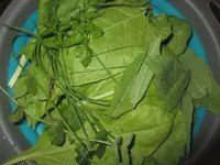 IMG_1303.webp