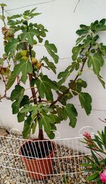 IMG_20180914_110539410.jpg