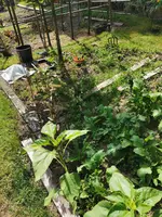 IMG_20250523_155638.webp