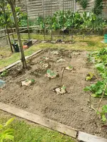 IMG_20250524_160601.webp