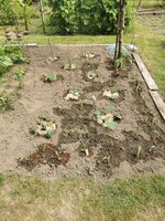 IMG_20250524_160622.jpg