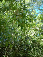 DSC08247.jpg