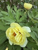 IMG_6819.jpeg