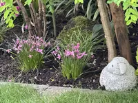 IMG_6898.jpeg