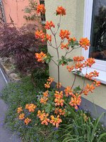 IMG_6895.jpeg