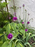 IMG_6764.jpeg