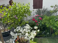 IMG_6756.jpeg