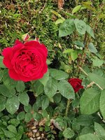 IMG_20250524_175739.jpg