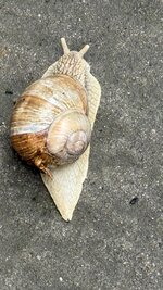 IMG_4457.jpeg