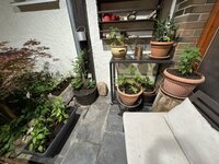IMG_6874.jpeg