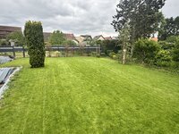 IMG_4634.jpeg