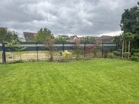IMG_4635.jpeg