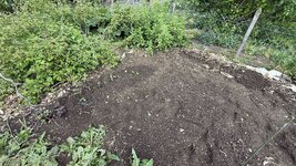 IMG_7905.jpg
