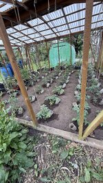 IMG_4471.jpeg