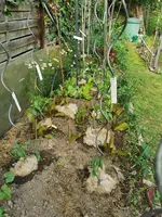 IMG_20250526_161314.webp
