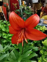 IMG_20250526_184632.webp