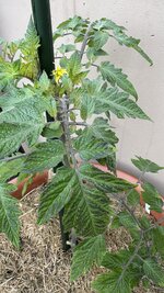 IMG_8099.jpeg
