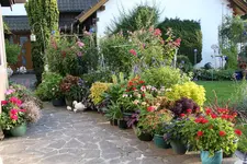 Terasse             3124.webp