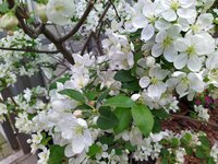 IMG_20250323_152514~2.jpg