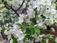 IMG_20250323_152514~2.webp