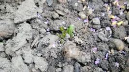 20250527_201927.webp