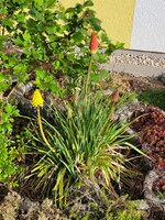 20250526_081145.jpg