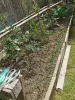 IMG_20250527_155727.webp