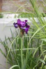 IMG_5153.webp