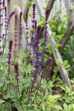 IMG_5147.webp