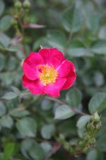 IMG_5142.JPG