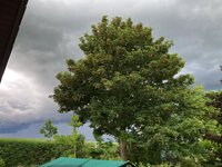 IMG_E2649.JPG