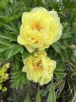 IMG_8674.jpeg