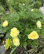IMG_8673.jpeg