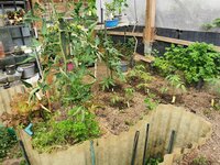 IMG_20250528_161123.jpg