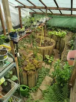 IMG_20250528_161140.webp