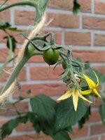 PXL_20250529_095046274.jpg