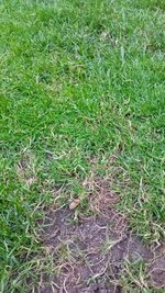 IMG_20250529_200635_307.jpg