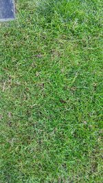 IMG_20250529_200709_521.jpg