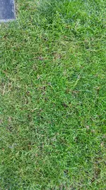 IMG_20250529_200709_521.webp