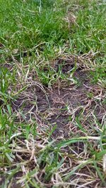 IMG_20250529_200822_461.jpg