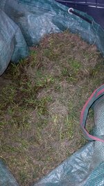 IMG_20250529_201134_378.jpg