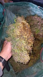 IMG_20250529_201205_366.jpg
