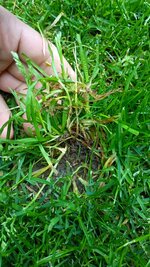 IMG_20250529_201022_825.jpg